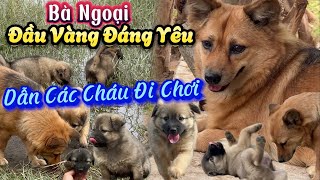 Bà Ngoại Đầu Ủn Ỉn Dẫn Cả Bầy Cháu Nhỏ Đi Tắm Ao Nước, Ăn Đồ Dơ Nhưng Sen Chỉ Cười Vì Quá Dễ Thương