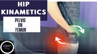 HIP JOINT MOVEMENTS - PELVIS ON FEMUR(HIP JOINT COMPLEX BIOMECHANICS)Physiotherapy Tutorials