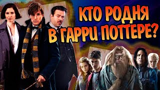 Какие герои Гарри Поттера и Фантастических Тварей родственники?