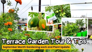 गार्डन टूर के साथ बागवानी के लिए खास टिप्स & अपडेट | Vegetable Garden Tour Tips For Home Gardening