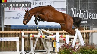 VRIJSPRINGEN met de JONGE PAARDEN! 😱 || Kim Dior