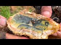 Finding Natural Chalcedony, Carnelian, Agate, Gemstones At The Mountain (Episode4 )