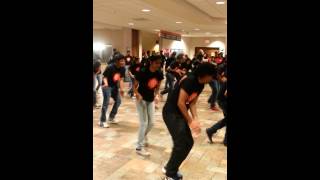 Indian Student Association Flash Mob at SIUE