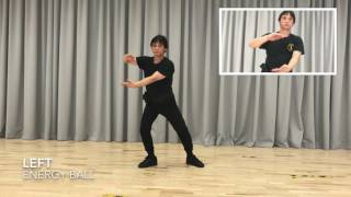 Wing Chun Qi Gong Form Tutorial - Step by Step