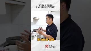 집안에서 바퀴벌레가 잘 사는 장소와 조건은 뭘까?? #모스헌터  #살충제 #방역전문가