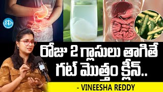 రోజు 2 గ్లాసులు తాగితే మీ గట్ క్లీన్ | Food to Improve Gut Health in Telugu | iDream Health Talks