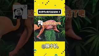 火烈鸟：一次的外向换来一辈子的内向 #神奇动物在抖音 #搞笑 #万万没想到#shorts