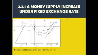 FLEXIBLE PRICES THE MONETARY MODEL