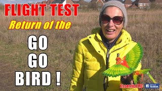 WILL IT FLY ? GO GO BIRD RC ORNITHOPTER ! (PART 2): ESSENTIAL RC FLIGHT TEST