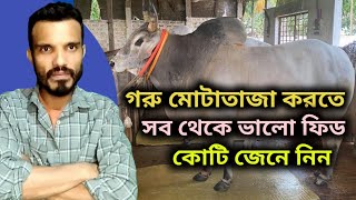 গরু মোটাতাজা করতে কোন ফিড ভালো | বাজারের সব থেকে ভালো গরুর ফিড কোনটি