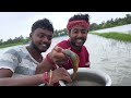 রাতে হল বৃষ্টি ভারি মাছ ধরলাম এক হাড়ি rain day fishing sundarban￼