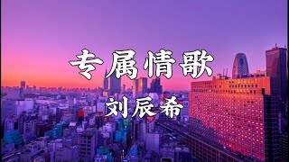 刘辰希 - 专属情歌 ［歌词 Lyrics］🎶【如果命中注定 我们在一起 请抓住我的手 别放弃 未来的路也许是一个谜 认定了就用心追寻】🎶