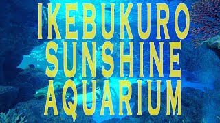 池袋サンシャイン水族館.Ikebukura sunshine aquarium.