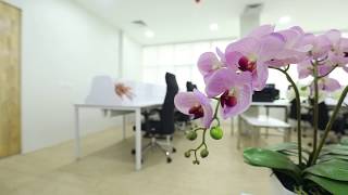 SharenGrow Co-Working Space in Kochi Virtual Office at Economic Price