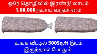 ஒரே தொழிலில் இரண்டு லாபம் ​1,00,000ரூபாய் வருமானம் ​​​| Small Business Ideas | Low Investment |Tamil