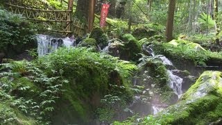 名水百選　瓜割の滝