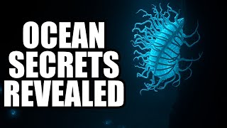 Unraveling the Secrets of the Deep Ocean: Discoveries That Shocked the World