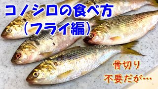 【骨切り不要】酢締め以外の方法に挑戦『コノシロ』の食べ方！【追伸】シシャモフライが食べられるなら・・・