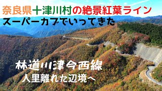 奈良県十津川村の絶景紅葉ラインへ！スーパーカブで行ってきた＠林道川津今西線