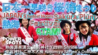 熱海桜と熱海梅園,日本一早咲き Atami sakura, Plum Garden, JAPAN's fastest bloom 日本最早盛開的熱海櫻花和熱海梅園