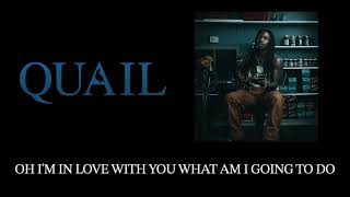 Quail - So Into You (Lyric Video)