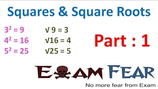 Maths Square and Square Roots part 1 (Introduction) CBSE Class 8 Mathematics VIII Maths Square and Square Roots part 1 (Introduction) CBSE Class 8 Mathematics VIII