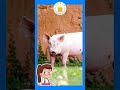 Domestic Animals Kids Song |What Do You See? Song |Animals Name and Sounds|Tamilarasi