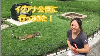 【驚き！】グアヤキルのイグアナ公園 [Sub:Español]