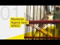 MASTERAN FULL ISIAN SRDC GACOR POLL