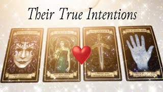 Their True Intentions Towards You? ❤️•Pick-A-Card• (TAROT READING)