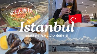 【トルコ】中国南方航空でイスタンブールへ快適旅 | 1ヶ国目でスーツケースを探す旅 | トルコグルメも満喫