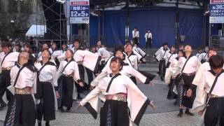 早稲田大学”踊り侍”＠2014　東京よさこい