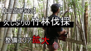 【山遊び#13】久しぶりの竹林伐採「整備エリアを拡大していきます」