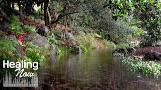 Calming rain sounds in a small stream in the forest - Nature sound that help you sleep, end insomnia