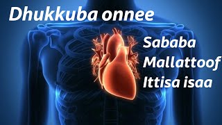 Hubannoo dhukkuba onnee: Sababoota, Mallattoolee, fi Ittisa isaa