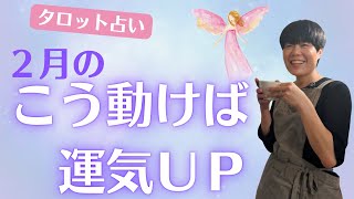 【2月の運勢】禅タロットが告げる今月のメッセージ✨