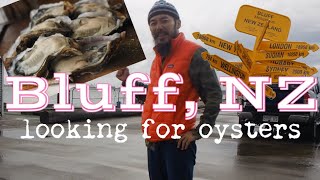 Bluff New Zealand Sea Food Best New Zealand Food looking for Bluff oysters Iconic Kiwi foods 最南端ブラフ