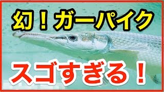 《幻の》ガーパイクを発見！！これはスゴすぎる！！