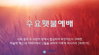 뉴비전교회 | 수요횃불예배 | 2024.08.28