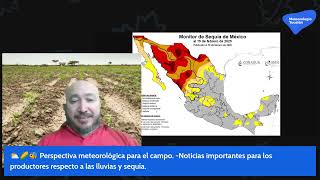 ⛅️🌽🐝 Perspectiva meteorológica para el campo -Noticias importantes para los productores