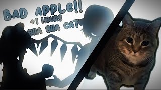 OIAOIA CAT X BAD APPLE ( 1 HOURS )