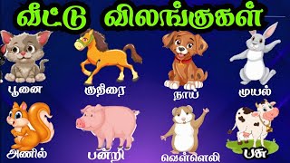 வீட்டு விலங்குகள் | domestic animals | household animals | veetu vilangugal in Tamil | Honey bees |