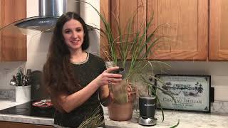 How To Make Lemongrass Powder the Easy Way! The Culinary & Medical Herb // Campbell's Freedom Farm