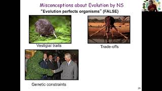Common Misconceptions About Evolution by Natural Selection