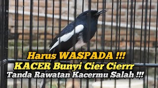 KACER BUNYI CIER CIER HARUS CEPAT DITANGANI