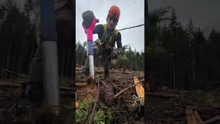 Plant trees with us
