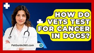 How Do Vets Test For Cancer In Dogs? - PetGuide360.com