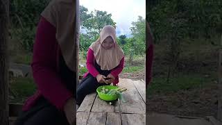 masak sayur lompong \u0026 masak sambal umbi lompong #masak #masakansimpel  #petani  #kebun