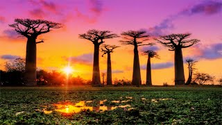 13 HOURS Morning Relaxing Music, Remove Negative Thoughts & Emotions, Sleep Music