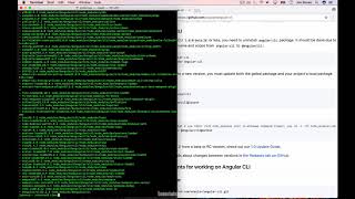 How to Update Angular CLI